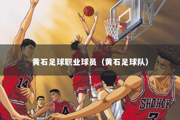 黄石足球职业球员（黄石足球队）