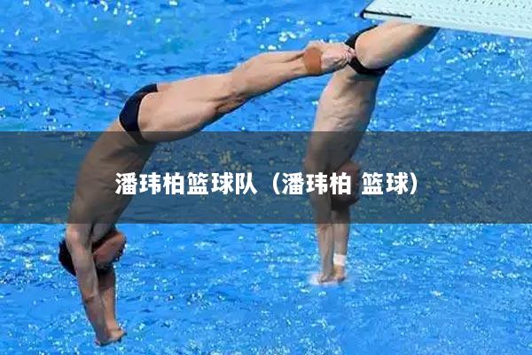 潘玮柏篮球队（潘玮柏 篮球）