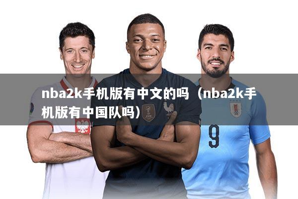 nba2k手机版有中文的吗(nba2k手机版有中国队吗)