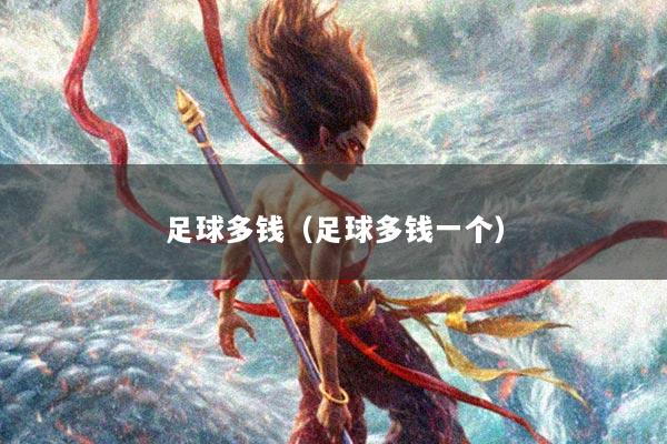足球多钱（足球多钱一个）