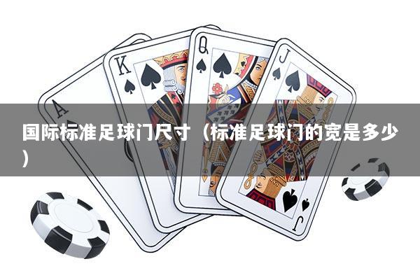国际标准足球门尺寸（标准足球门的宽是多少）