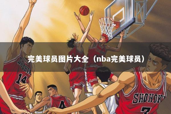 完美球员图片大全（nba完美球员）